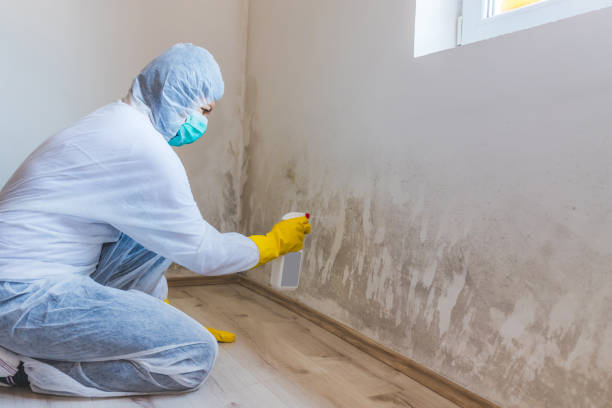 Mold Remediation specialist working in Katy