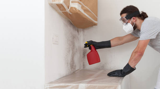 Basement Mold Remediation treatment on basement walls in Katy